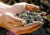 OOO ТАМБОВСКИЙ БЕТОННЫЙ УЗЕЛ