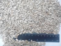 ООО Агро Петро